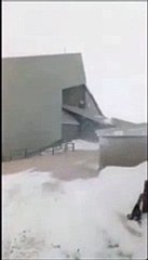 La bufera da brividi, le dolci nevicate, il passo felpato dei lupi nell'Area faunistica di Alfedena