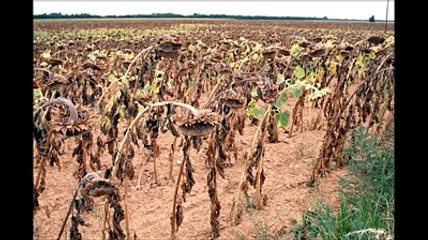 In piazza per lo sciopero del clima