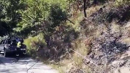 Campli: rogo doloso di un bosco a Roiano