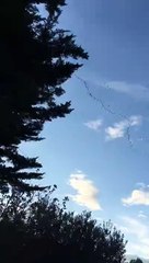 Il magico volo delle gru nel cielo di Torrevecchia