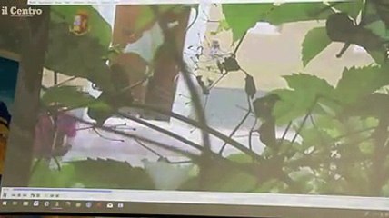 Gli incontri nella casa dello spaccio nel centro storico