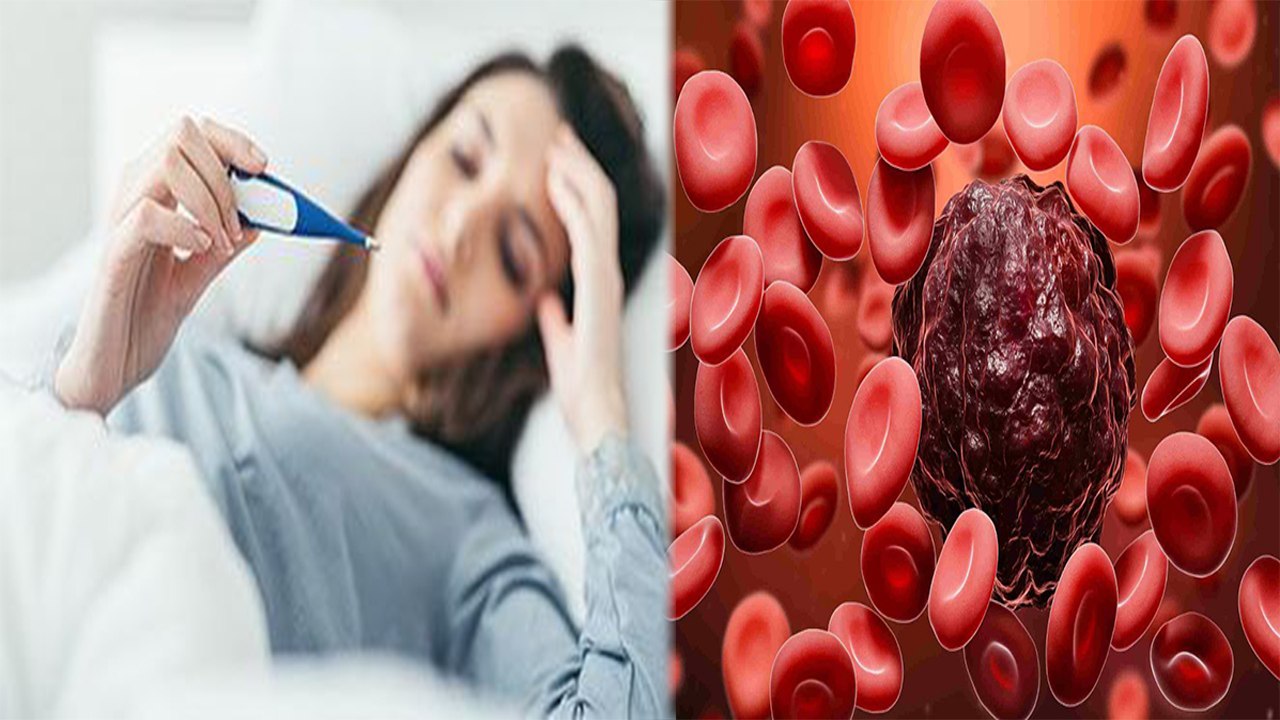 Blood Cancer Symptoms In Hindi: Blood Cancer Kyu Aur Kaise Hota Hai,Blood Cancer Causes..| Boldsky