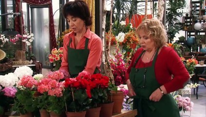 Rote Rosen 1268