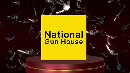 Best Air Pistol in India - National Gun House