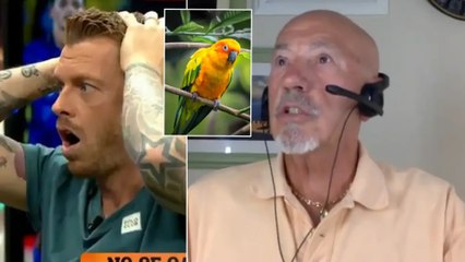 Eski La Liga hakeminin papağanı canlı yayında Real Madrid marşı söyledi