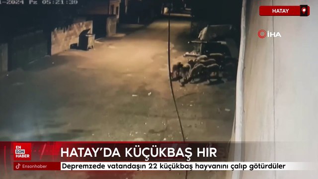 Hatay'da depremzede vatandaşın küçükbaş hayvanlarını çalıp götürdüler