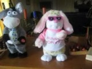 peluche delire
