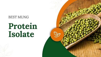 Discover the Best Mung Protein Isolate Proeon Mung80 and Its Benefits for Food Manufacturers