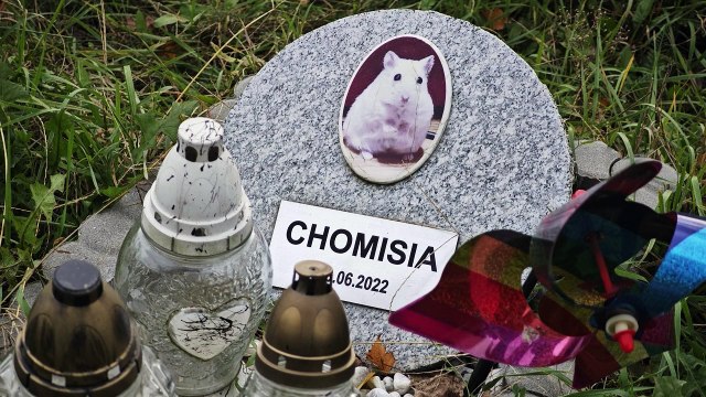 Toruń. Cmentarz dla zwierząt