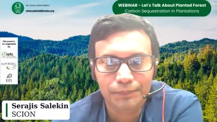 Webinar - Carbon Sequestration in Plantations