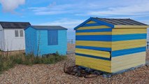 Plans for more beach huts could 