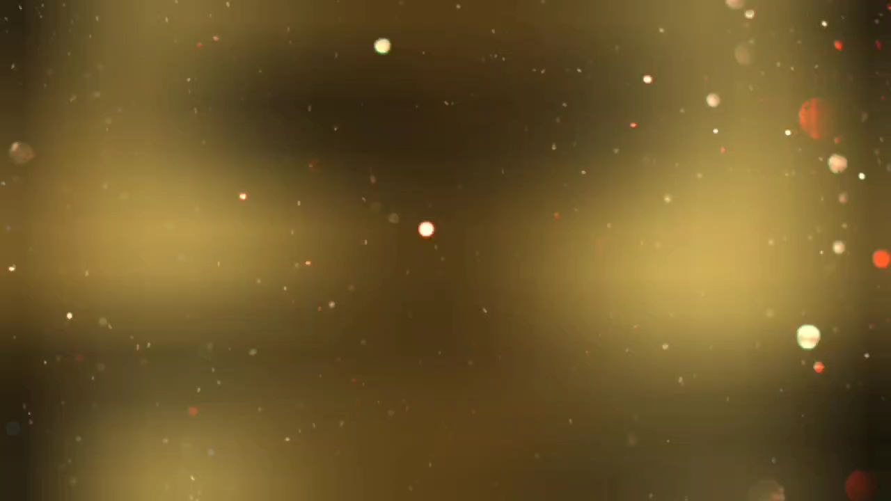bbbb - video Dailymotion
