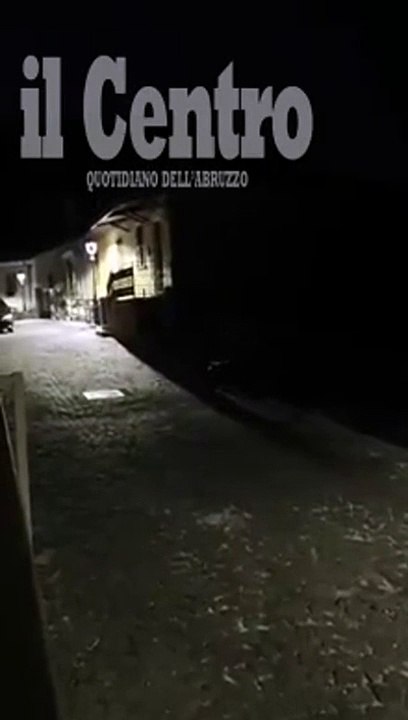 La notte a passeggio di mamma orsa e dei suoi quattro cuccioli