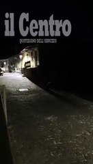 La notte a passeggio di mamma orsa e dei suoi quattro cuccioli