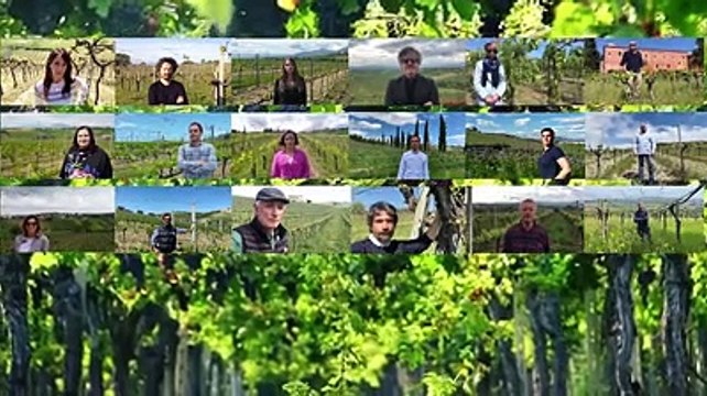 La vite non si arrende, i produttori di vino ci mettono la faccia