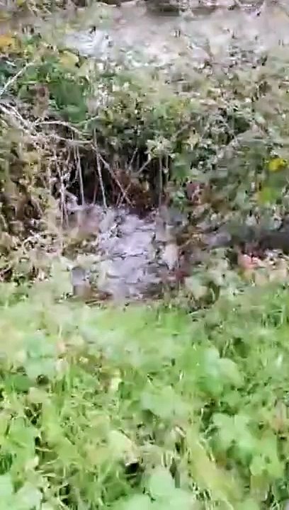 Schiuma bianca nel Rio Gamberale