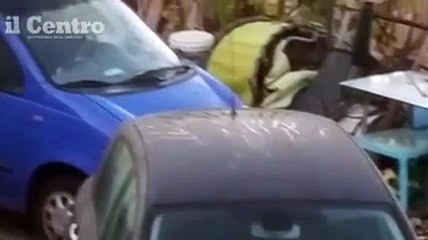 Chieti, lupi in via Maiella