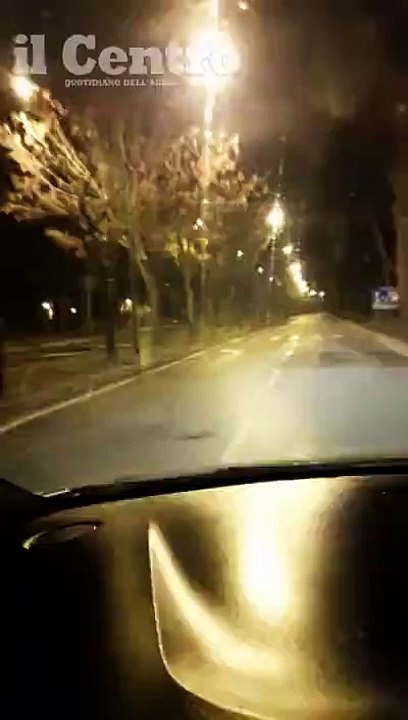 Pescara, branco di cinghiali alla pineta