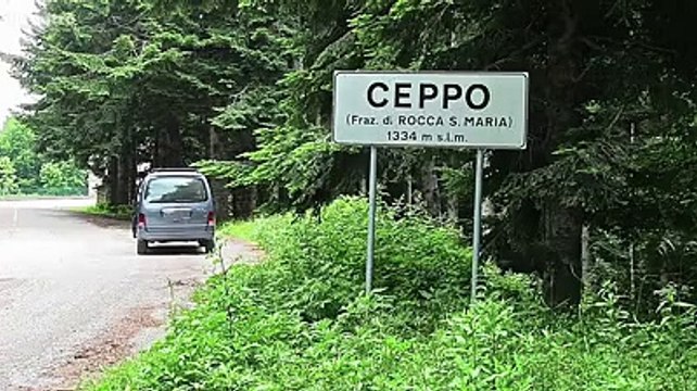 Povero cavallo, lasciato andare in strada con le zampe legate: video virale