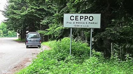 Povero cavallo, lasciato andare in strada con le zampe legate: video virale