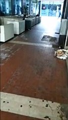 Via Carducci, sotto i portici nella "terra di nessuno"