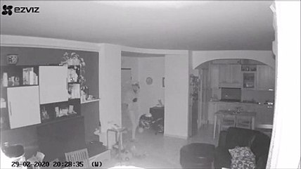 Ladro a volto scoperto in una casa