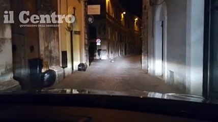 "Centrale, c'? un istrice sospetto": la battuta dei carabinieri davanti all'insolito avvistamento