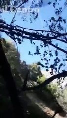 Il "volo" della mucca salvata nel dirupo