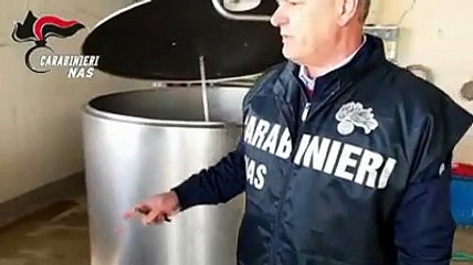 Formaggi, latte, animali nelle stalle: i controlli del Nas
