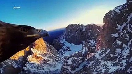 Il volo di Inca come metafora di una citt?