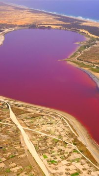 CURATION - Le lac Retba (1)