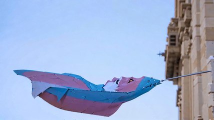 T-Boy Wrestling : une première compétition de catch transgenre à Los Angeles