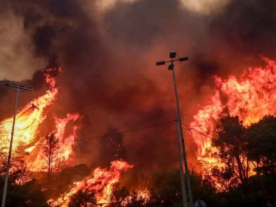 Alarmierende Zahl: Rauch von Waldbränden tötet tausende Menschen
