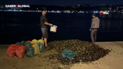 Sarıyer'de kaçak midye operasyonu! 52 bin 484 lira para cezası