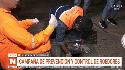 SCZ A LA CAZA DE RATONES EN LA PLAZA 24 DE SEPTIEMBRE