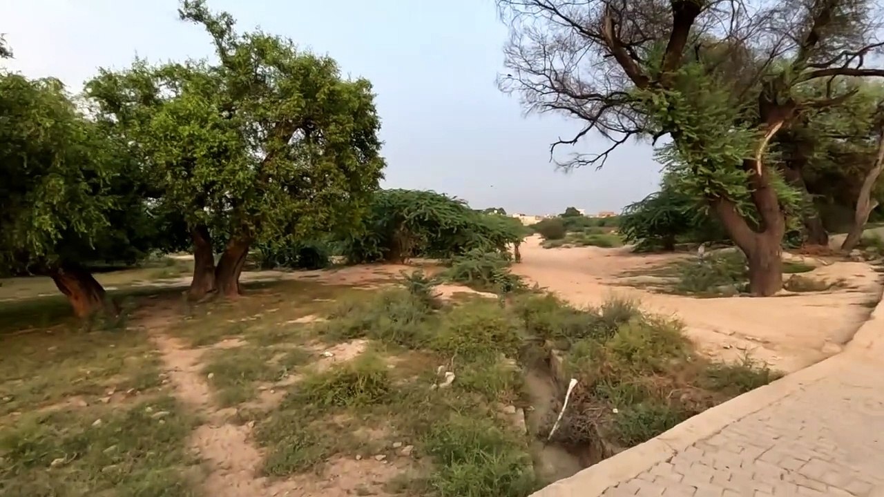 baba soti aalay ka interview