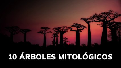10 árboles mitológicos