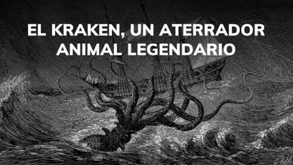 El Kraken un aterrador animal legendario