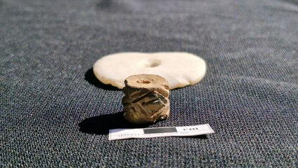 Artuklu Sarayı'nda 5 bin yıllık mühür bulundu