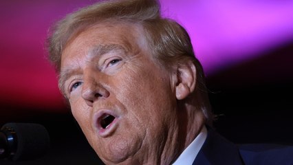 Donald Trump über die In-vitro-Fertilisation: "Ich bin der Vater"