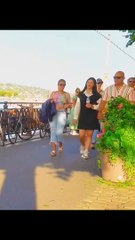 Bushman prank Best reactions#prank #funny #reelsvideo #reelscomédien#reelsfunny#reelspage#reels#fyp #fun #comedy