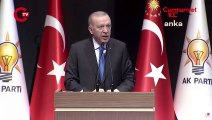 Erdoğan'dan, Bahçeli'nin 'Öcalan' çağrısı sonrası dikkat çeken mesaj