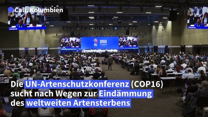 "Keine Zeit zu verlieren": UN-Artenschutzkonferenz in Kolumbien