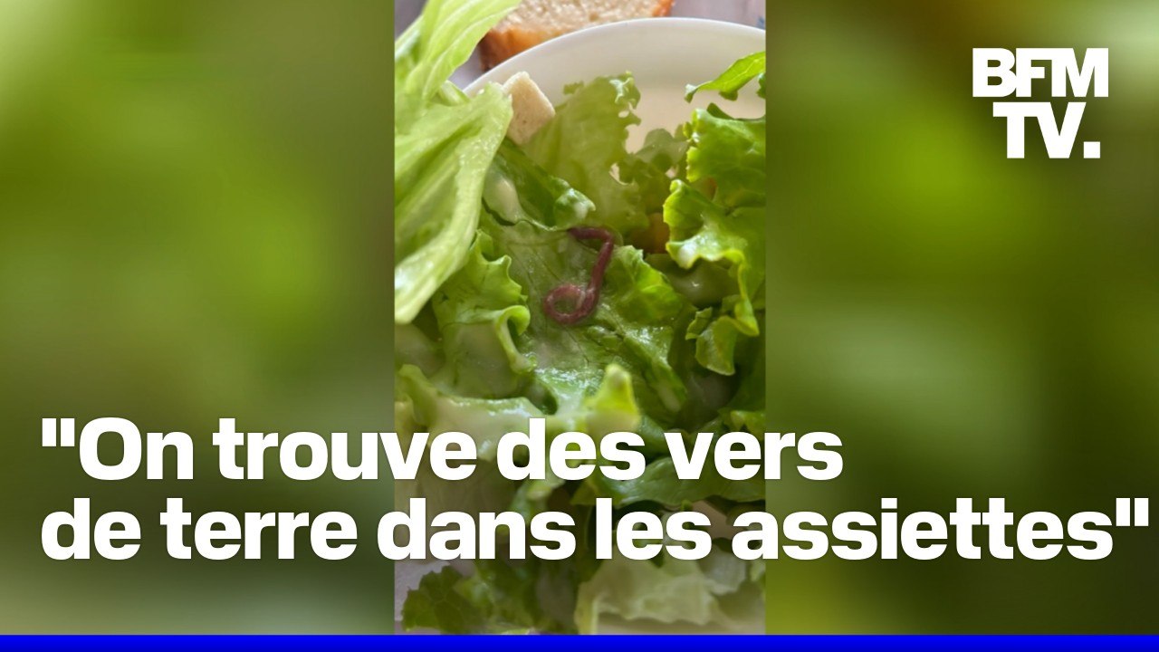 Vers de terre dans les assiettes, bouts de verre dans les brownies, couverts sales... des parents dénoncent l'insalubrité d'une cantine