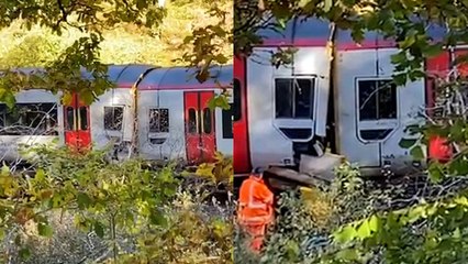 Passengers describe 'horror' on board train crash that killed one and injured 15