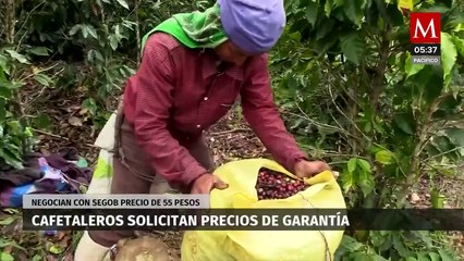 Cafetaleros guerrerenses piden precios de garantía a Segob