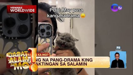 Pusa, drama king ang actingan sa salamin | Dapat Alam Mo!