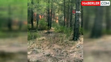 Dalaman Orman Yangını Kontrol Altına Alındı