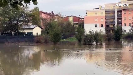 Maltempo, a Bologna esonda il torrente Ravone