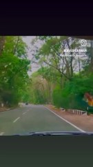 Shillong, Meghalaya